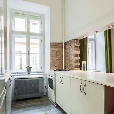 Stylish And Huge Andrassy Avenue